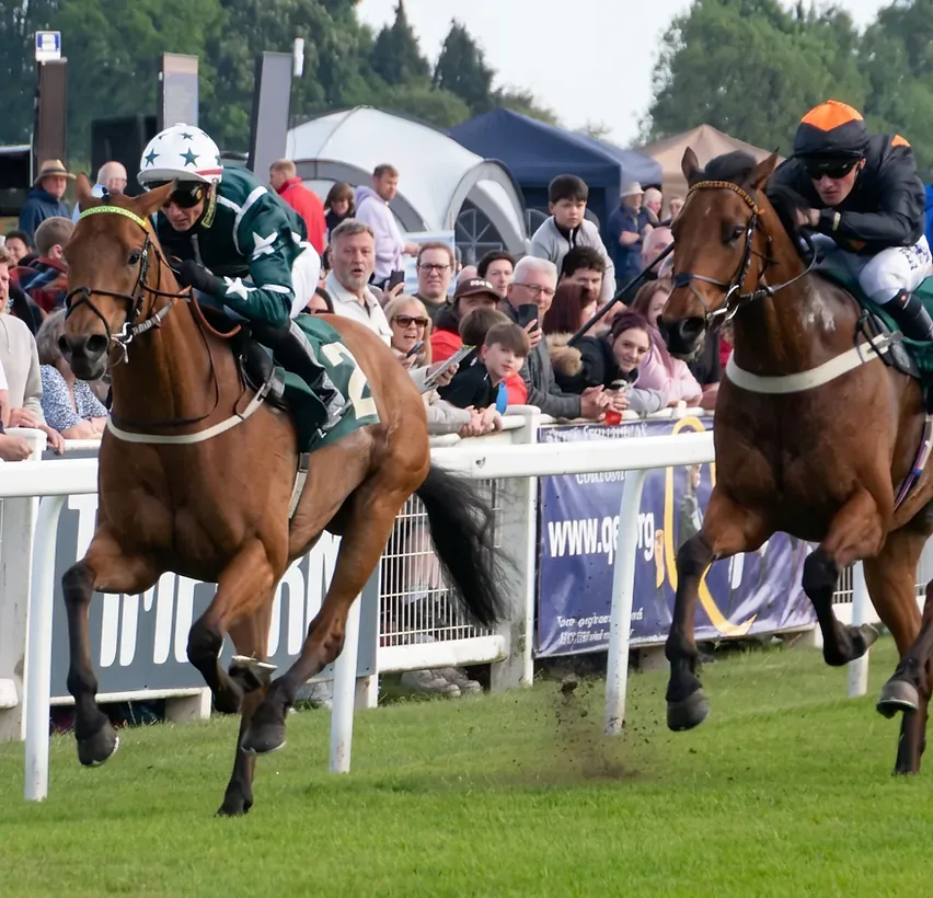 Horses racing past the crowd on race day