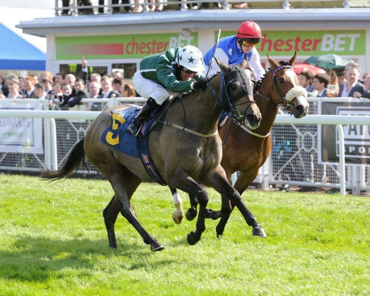 Group Equine runner battling to the line