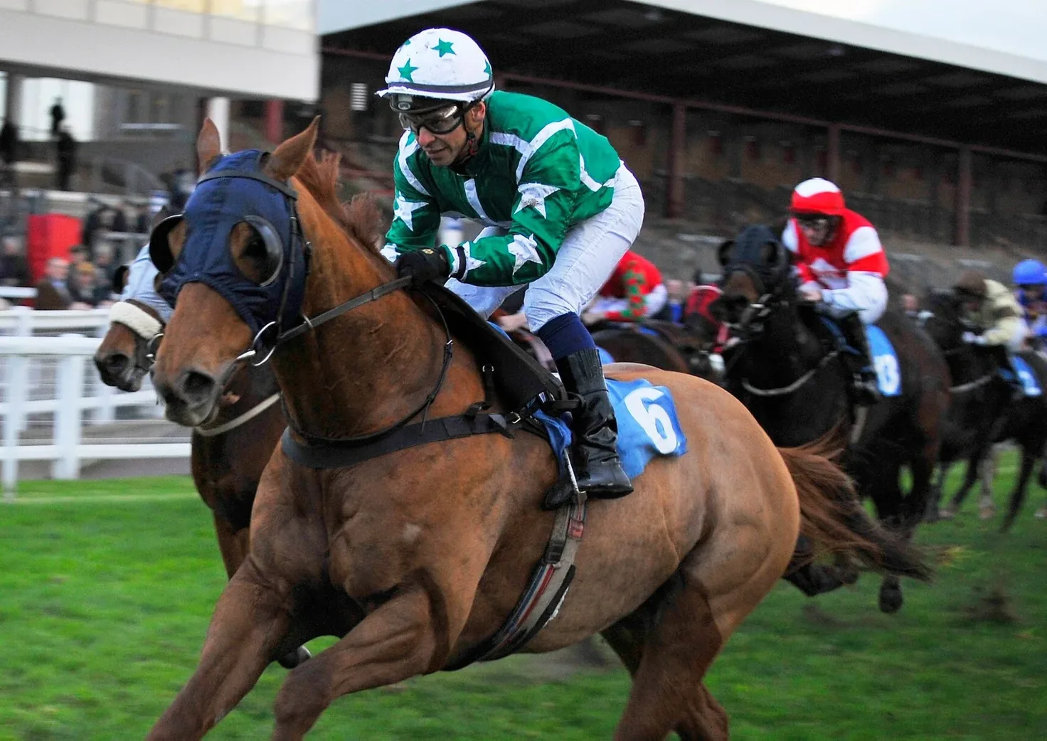 Racing in the Group Equine green and white silks